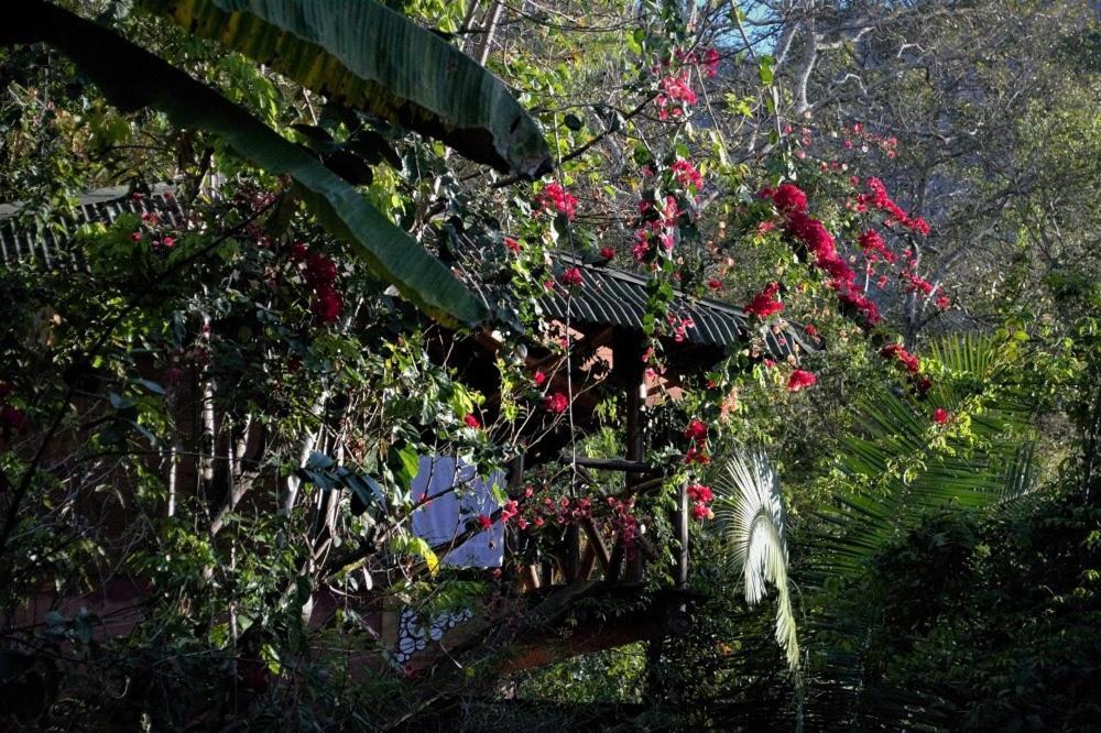 Mariri Jungle Lodge Alto Paraíso de Goiás Exterior foto