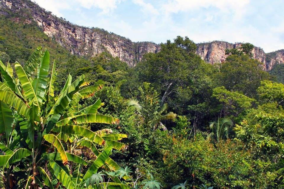 Mariri Jungle Lodge Alto Paraíso de Goiás Exterior foto